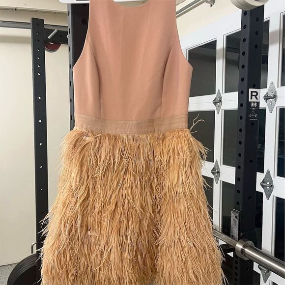 Alice + Olivia Philomena Lace High Neck Mini Dress Pink Feather Skirt Women's - Picture 13 of 14